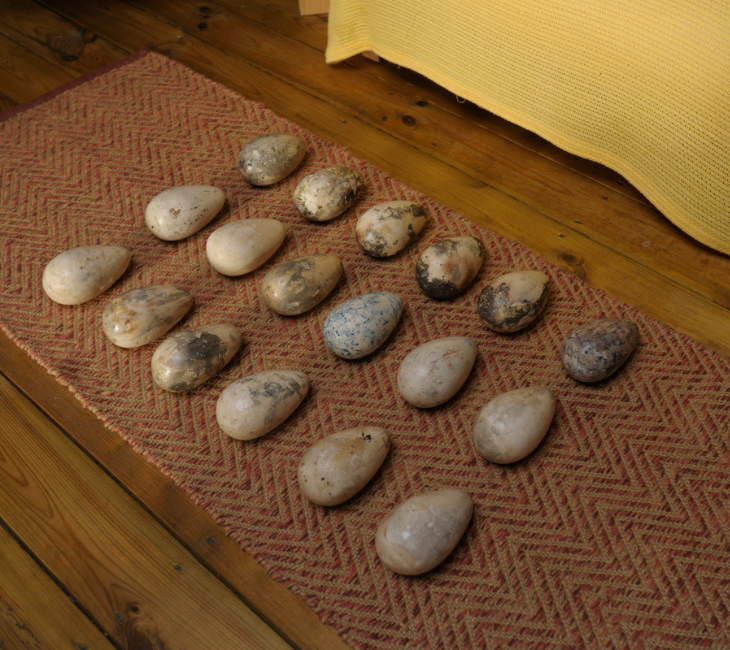 Eighteen cyanotype replica eggs on floor mat arranged in three rows of six