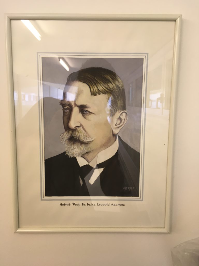 Prof Dr Dr h c Leopold Adametz, founder of this collection – copy of a 20th century portait – hand-drawn by the retired Natural History Museum curator Dr Erich Pucher.